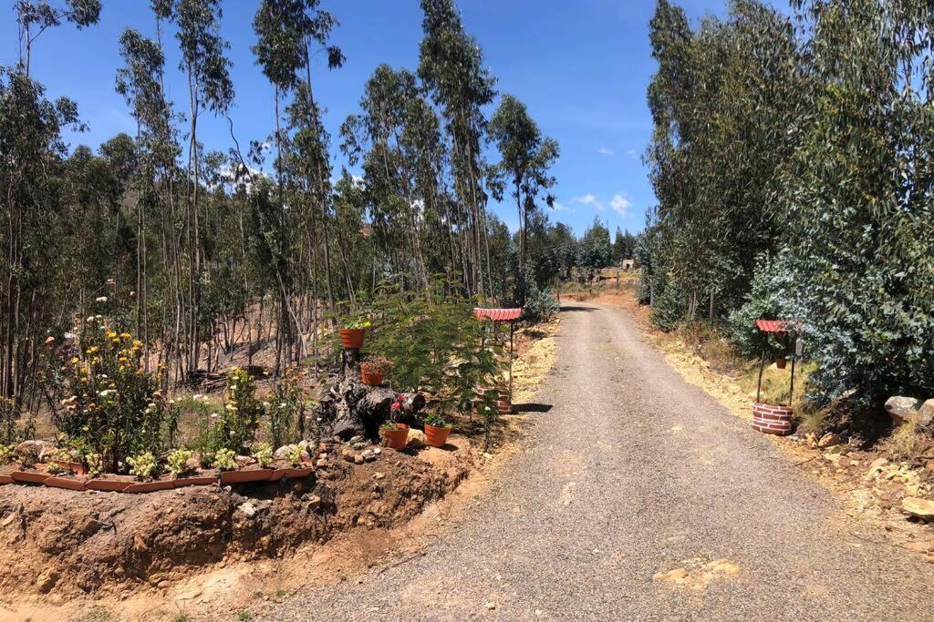 Cabana Buenavista Es Un Lugar Para Descansar. Iza Esterno foto